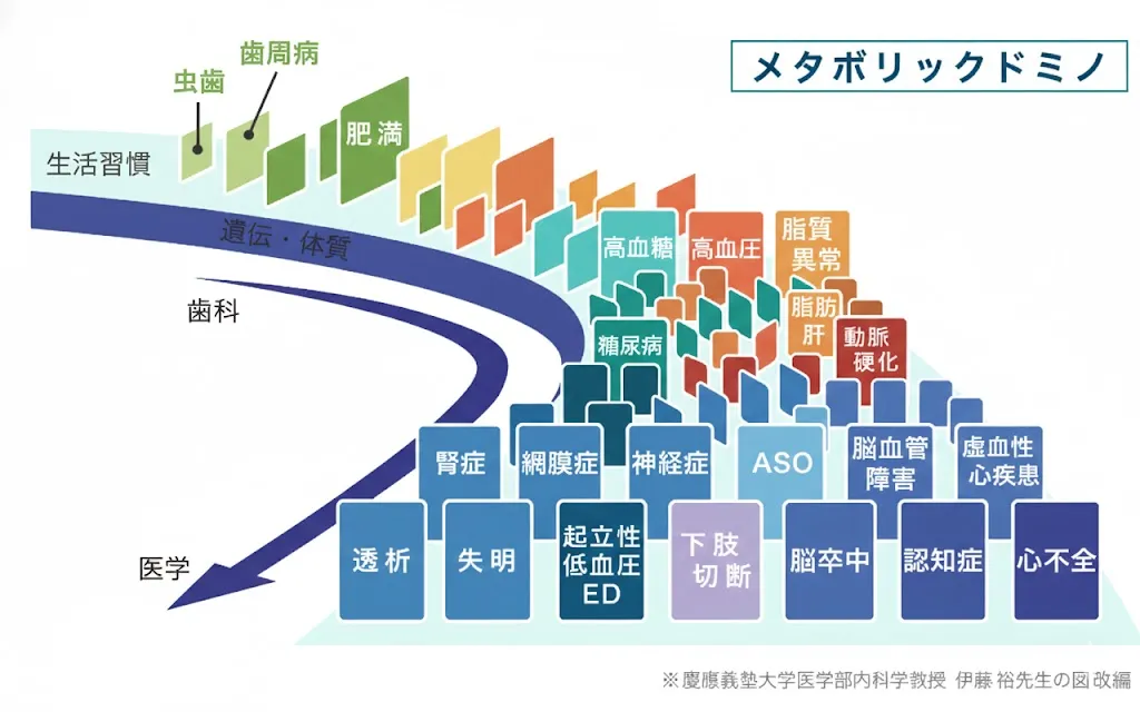 メタボリックドミノ