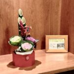 2026年は1月6日より診療開始いたします。